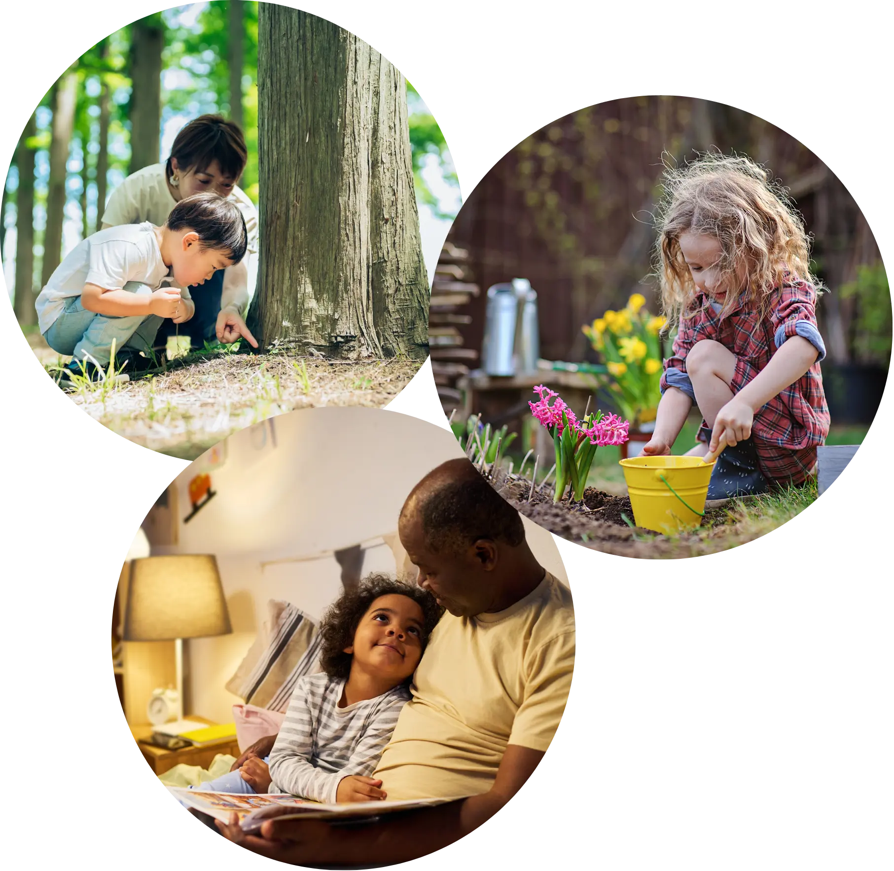 Children engaged in outdoor and indoor learning